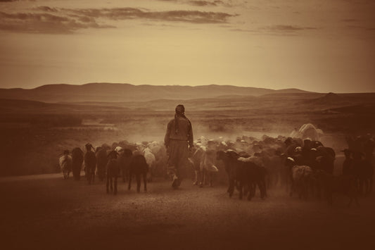 The Good Shepherd